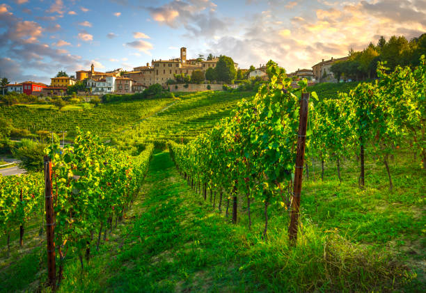 Neive village and Langhe vineyards, Piedmont, Italy Europe. Neive village and Langhe vineyards, Unesco Site, Piedmont, Northern Italy Europe. alba italy photos stock pictures, royalty-free photos & images