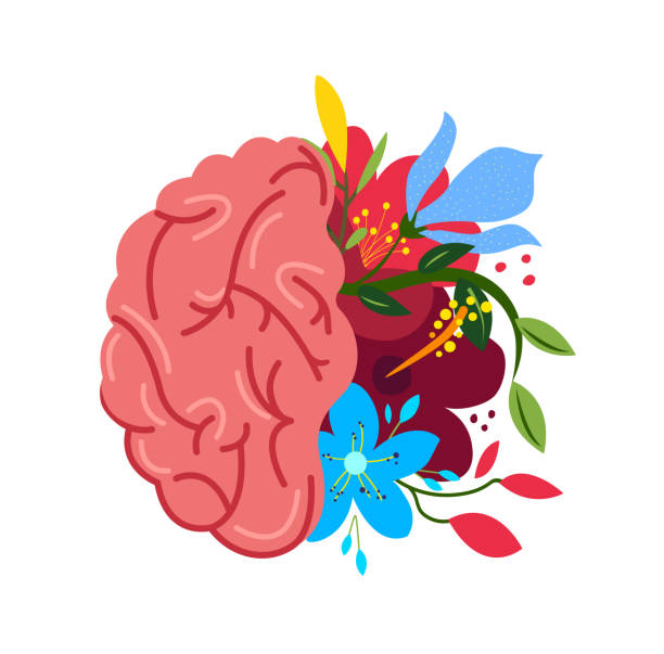 schöne geblümte gehirn system, cerebrum structure.flower anatomy.floral interne organ.neurology organ.cerebellum health.anatomisch hell gesundes gehirn, blumen, kräuter natur.flat vektor illustration - endhirn stock-grafiken, -clipart, -cartoons und -symbole