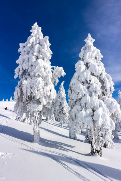 istock Winter landscape with snow in mountains 1300116268