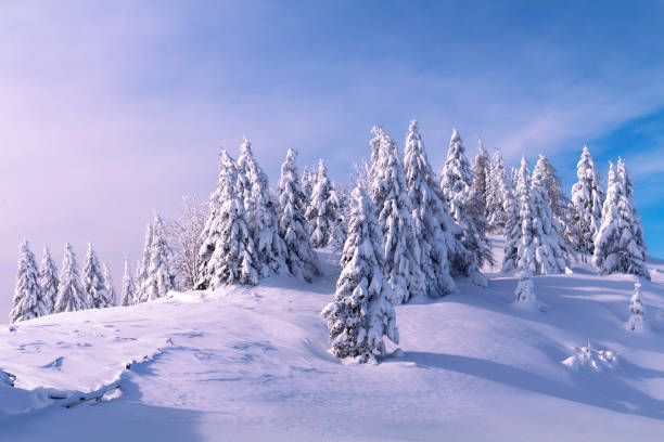 istock Winter landscape with snow in mountains 1300116315