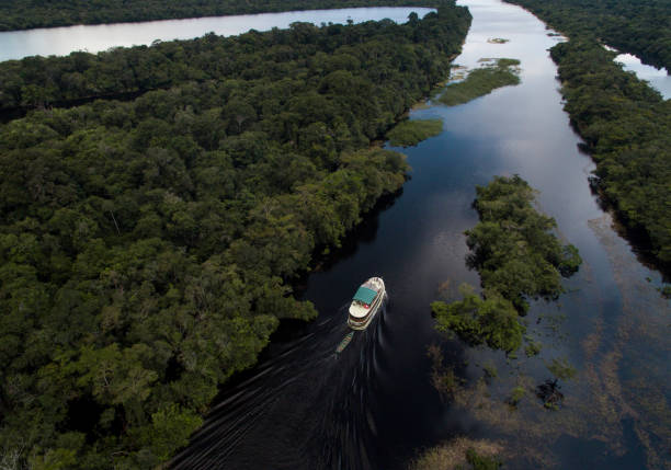 Aerial shot of boat crossing Amazon River affluent Rio Jauaperi runs deep into the amazon, an affluent river of the Amazon River. The region of Comunidade Itaquera is a part of the city of Novo Airao, and reachable with a 20-hour boat ride. amazon river photos stock pictures, royalty-free photos & images