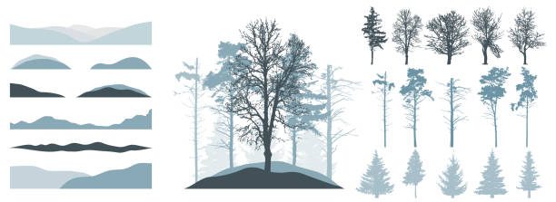 포리스트, 생성기 키트. 아름다운 가문비 나무, 소나무, 벌거 벗은 나무, 눈 언덕의 실루엣. 아름다운 겨울 숲, 공원, 삼림, 풍경을 만들기위한 요소의 컬렉션. 벡터 그림입니다. - poplar tree stock illustrations