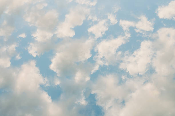 sky with cumulus humilis - cumulus humilis imagens e fotografias de stock