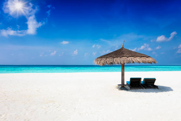 istock Two sunbeds under a parasol on a tropical paradise beach 1300121255