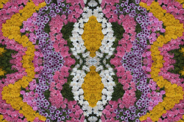 istock Beautiful flowers background in closeup 1300121765
