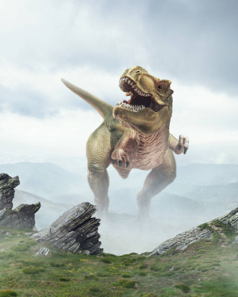 Dinosaur huge higth walking through the jungle, foggy mountains Calling up. Dinosaur huge higth walking through the jungle, foggy mountains. Evolution and paleontology, wild nature, wildlife before birth of humanity. Looks scary, powerful, unstopped hunter. raptor dinosaur stock pictures, royalty-free photos & images