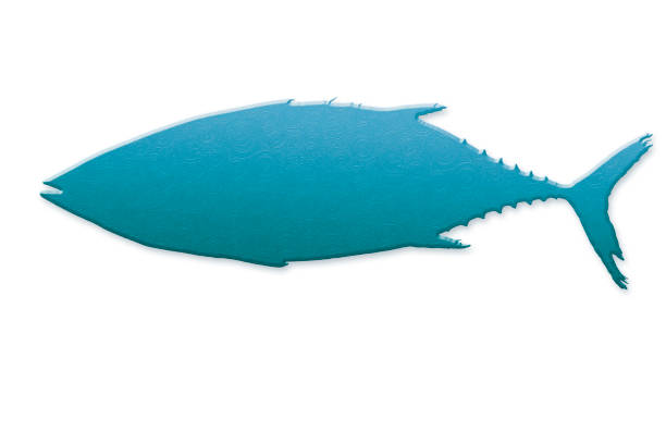 Albacore tuna whole fish silhouette. Textured blue metallic silhouette isolated on white background.3D illustration.