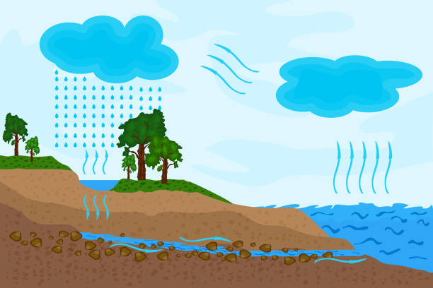 ilustrações de stock, clip art, desenhos animados e ícones de science of water cycle in nature. schematic representation of the water cycle. - groundwater