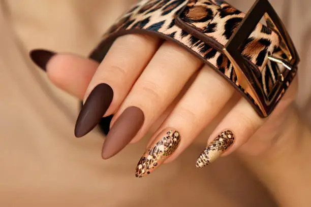 Luxurious multicolored beige brown manicure with animal design on long nails.