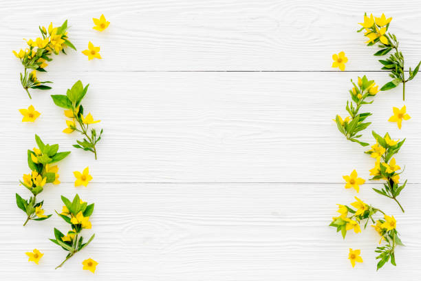 istock Wild spring flowers top view. Floral frame with space for text 1300131059