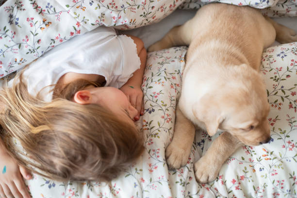 istock She love to share a bed with her best friend -dog 1300133067