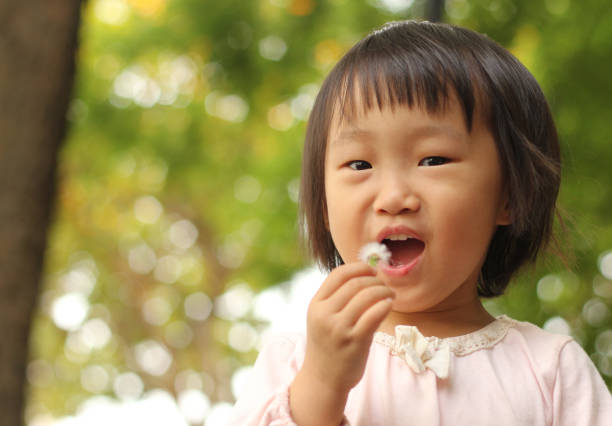 istock a smiling Asian girl blowing dandelion. 1300135513