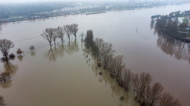 istock Flooded area, Rhine and Main River, Germany 1300138292