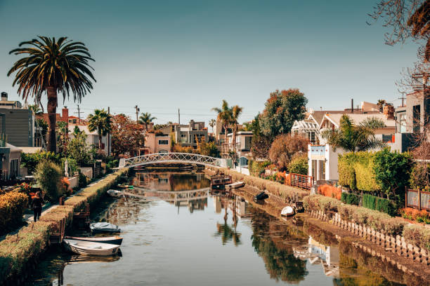 венецианские каналы в лос-анджелесе - palm tree california city of los angeles venice beach стоковые фото и изображения