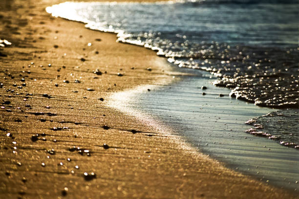 istock Beach, sand and water in the setting sun. 1300141619