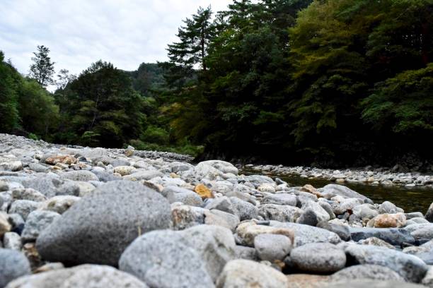 istock Some stones on the riverbank. 1300143800