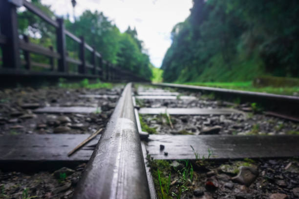Railroad tracks in Alishan Natural Park