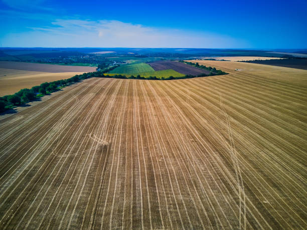 istock Aerial view over the agricultural fields 1300143993