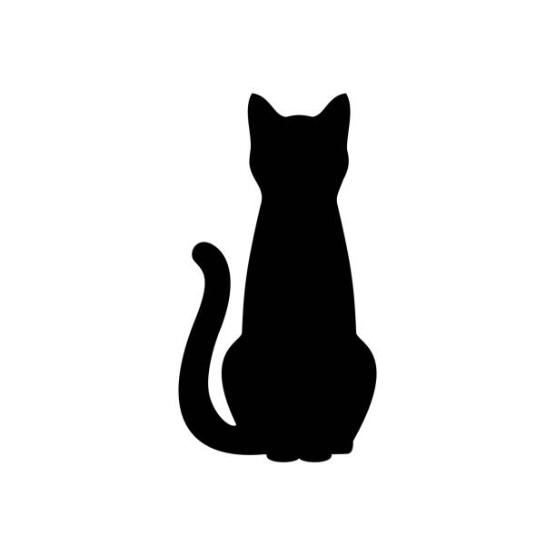 ilustraciones, imágenes clip art, dibujos animados e iconos de stock de silueta de gato negro sobre fondo blanco. - tail