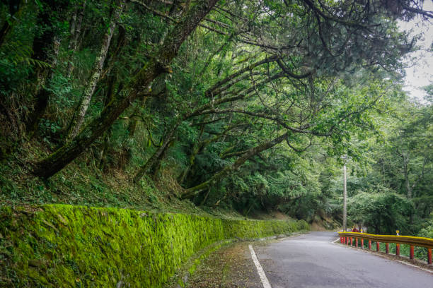 istock Beautiful mountain road in Taiwan 1300146570