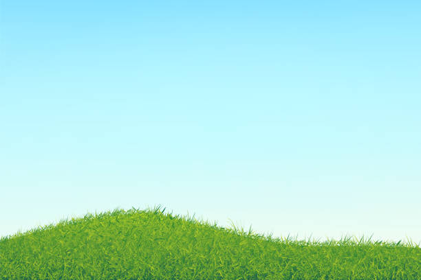 illustrations, cliparts, dessins animés et icônes de ciel avec un gradient doux et l’herbe chaotique abstraite. - hillock