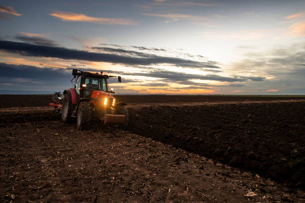 istock tractor plows the field in the evening at sunset. 1300149820