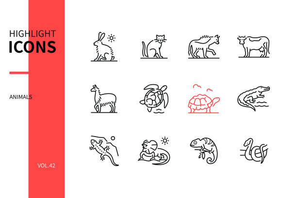Animals collection - line design style icons set Animals collection - line design style icons set. Images of pets, farm and amphibians. Hare, cat, hyena, cow, llama, turtle, tortoise, crocodile, lizard, frilled-necked lizard, chameleon, snake chameleon icon stock illustrations