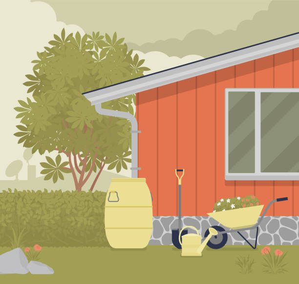 istock Rainwater rooftop harvesting downspout system, from the house into barrel 1300152536