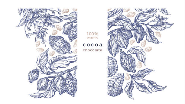 szablon kakao wektorowy ręcznie rysowane drzewo, fasola, owoce - chocolate cocoa hot chocolate backgrounds stock illustrations