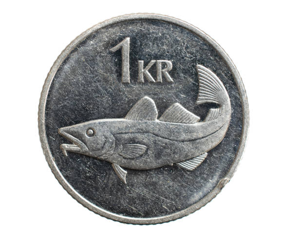 istock 1 icelandic krona coin isolated on white background 1300153374