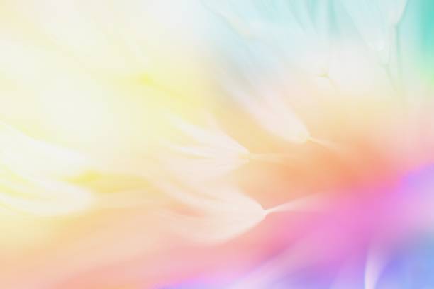 Photo of Soft abstract color gradient floral background , abstract dandelion