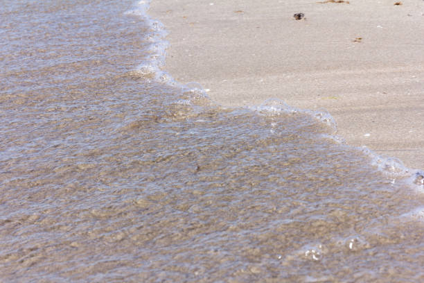 istock The background of sand with water splash into summer with space for text. 1300153722
