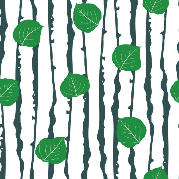 Green aspen leaf forest seamless vector pattern background. Beautiful hand drawn leaves in fall colors on backdrop of sea green and white tree bark. Woods in painterly style. Elegant all over print. Green aspen leaf forest seamless vector pattern background. Beautiful hand drawn leaves in fall colors on backdrop of sea green and white tree bark. Woods in painterly style. Elegant all over print aspen leaf stock illustrations