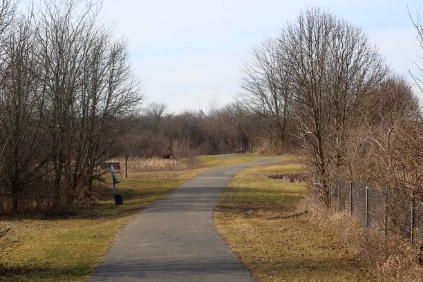 istock Long Pathway in the Country 1300156255