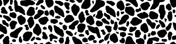 Vector cow pattern seamless background. Black irregular patches on white backdrop. Abstract cows skin texture illustration. Random bovine spots hand drawn design. Farm animal textural all over print Vector cow pattern seamless background. Black irregular patches on white backdrop. Abstract cows skin texture illustration. Random bovine spots hand drawn design. Farm animal textural all over print. dog splashing stock illustrations