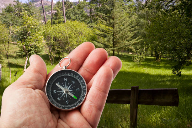 istock Hand with a Compass in the Middle of Nature 1300157880