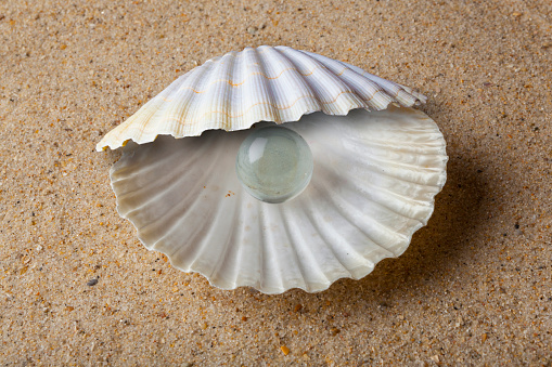 Stock photo showing close-up view of heart shape of seashells on a sunny, golden sandy beach with sea at low tide in the background. Romantic holiday and honeymoon concept.