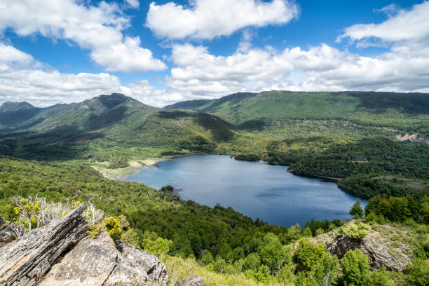 istock Malleco lake in Tolhuaca National Park 1300157941
