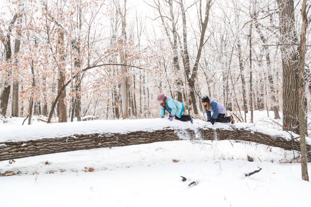 Two Girls Crawling on Fallen Tree in Winter Snow stock photo