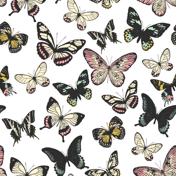 多色蝶、白い背景に分離された現実的なスタイル。シームレスなパターン。ベクトルの図 - 698点のイラスト素材／クリップアート素材／マンガ素材／アイコン素材