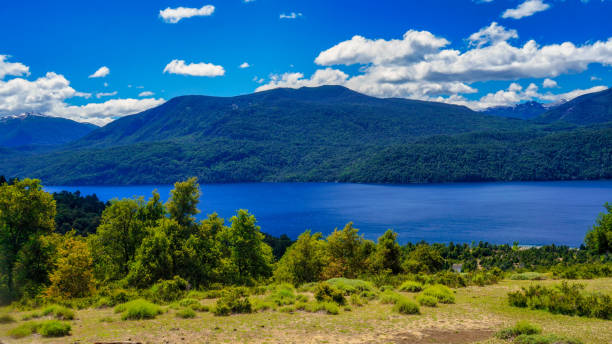 Landscape of lake Lacar Landscape of lake Lacar, San martin de los Andes, Neuquen, Argentina. Shooted from the top of a hill looking to a green trees area, the blue water lake and the mountains behind. Taken on a warm summer afternoon under a ble sky with a few white clouds lácar lake photos stock pictures, royalty-free photos & images