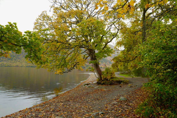 istock Autumn in the Lake District 1300168753