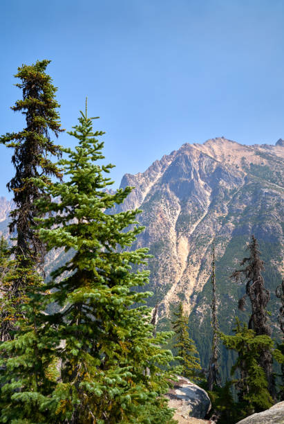 rainy pass north cascades nationalpark vertikal - north cascades national park washington state northern cascade range mountain pass stock-fotos und bilder