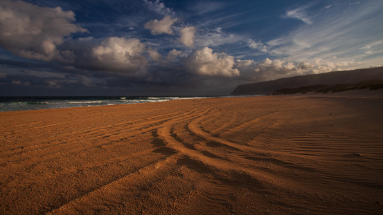 Tire tracks on north beach in Kauai