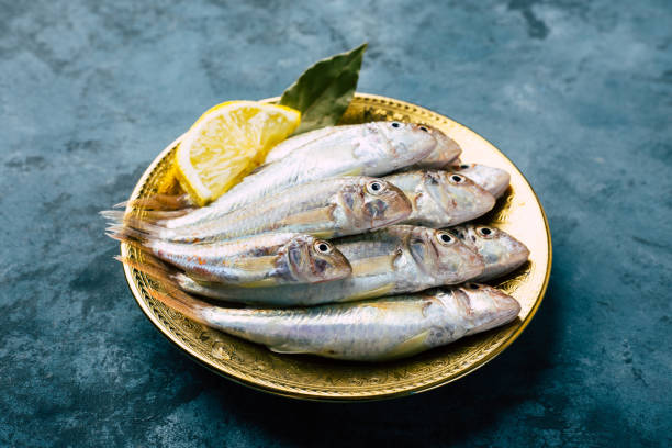 istock Fresh red mullet. Sultan fish on a blue background. 1300171374