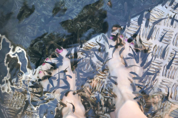 istock Fish spa in the real nature in the lake 1300171508