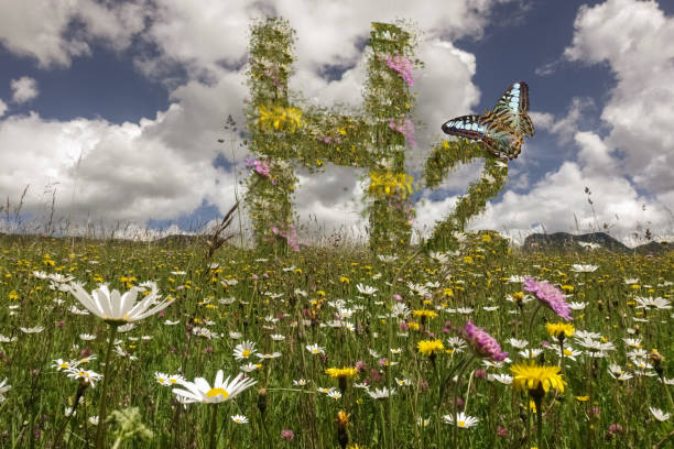 hydrogen h2 letters on a meadow with flowers  and one large butterfly in the nature