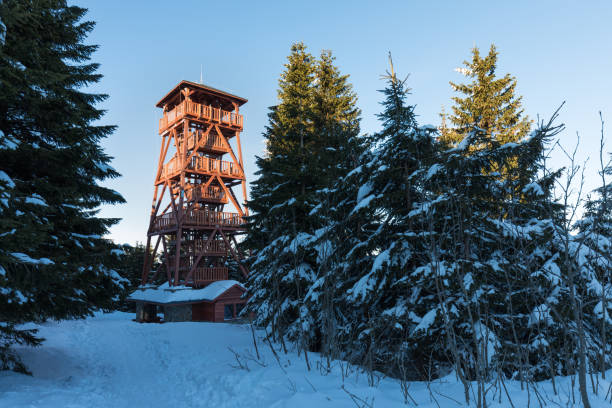 uma nova linda torre de vigia de madeira no topo do pico vrchmezí. paisagem de inverno perto da arena de esqui zieleniec, montanhas águias, polônia - ski arena - fotografias e filmes do acervo