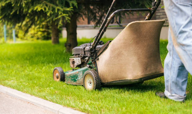 istock Worker mows the lawn with a lawn mower. 1300176097