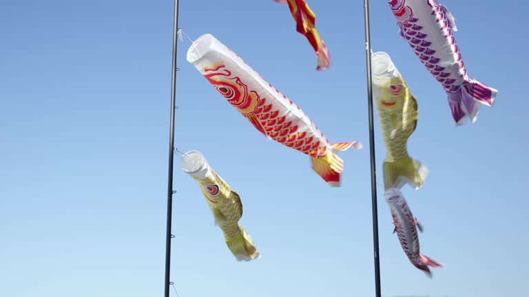 Carp Flag, Koi no bori symbol of Japanese Boys 'Day, designated May 5th of each year as Boys' Day.